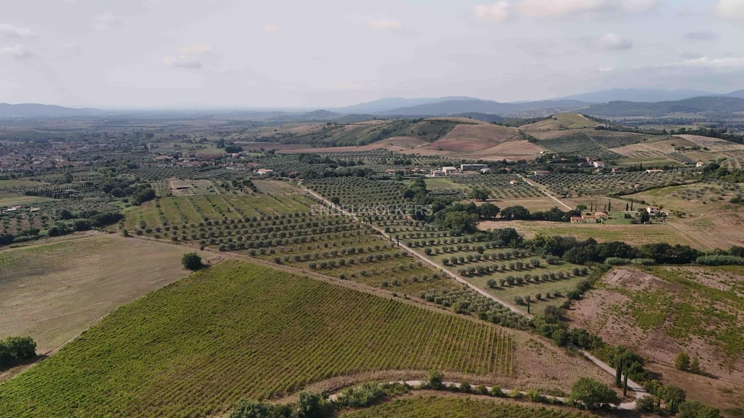  Land in Roccastrada, Italy No. 322552