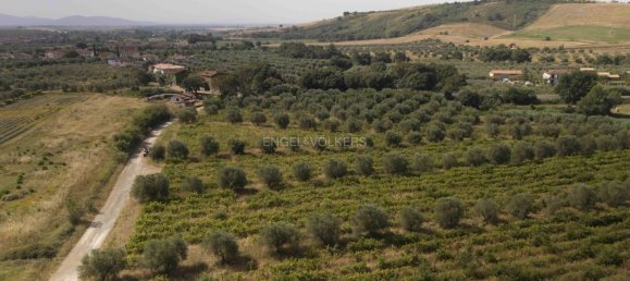 Land in Roccastrada, Italy No. 322552 7