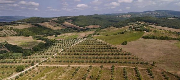 Land in Roccastrada, Italy No. 322552 13