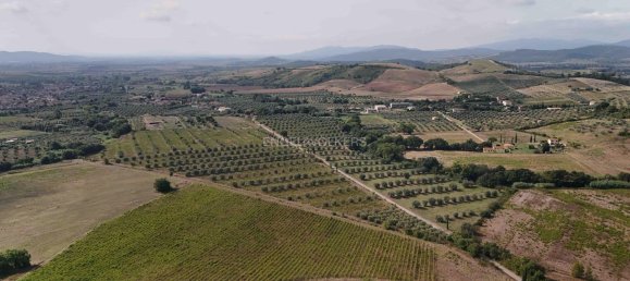 Land in Roccastrada, Italy No. 322552 11