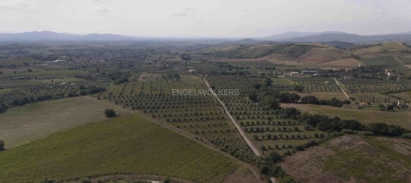 Land in Roccastrada, Italy No. 322552 10