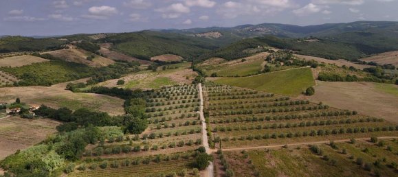 Land in Roccastrada, Italy No. 322552 2