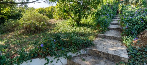 4 bedrooms House in Aljubarrota, Portugal No. 150942 7