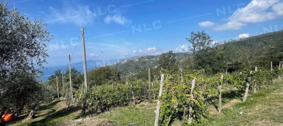 8غرفة فيلا في Lavagna, Italy رقم 170956 13