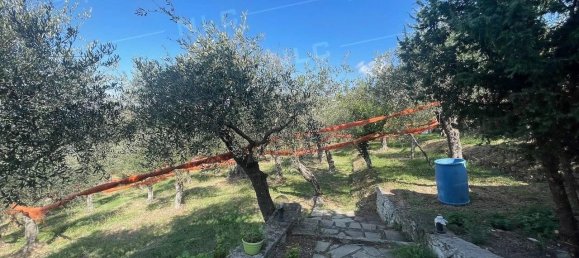 8غرفة فيلا في Lavagna, Italy رقم 170956 15