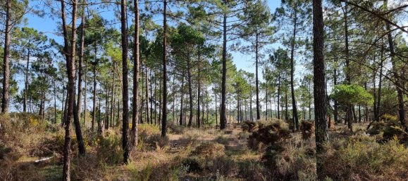  Land in Alcacer do Sal, Portugal No. 274583 4