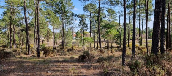  Land in Alcacer do Sal, Portugal No. 274583 5