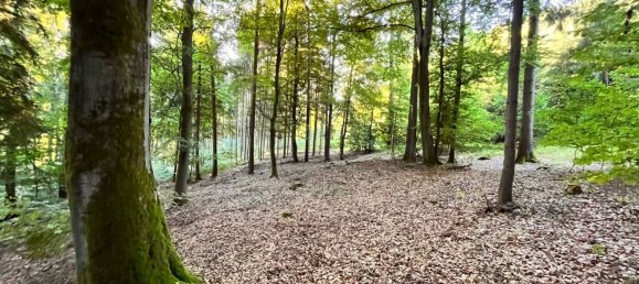Terreno em Neustadt an der Waldnaab, Germany N.º 187018 6
