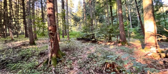 Terreno em Neustadt an der Waldnaab, Germany N.º 187018 4