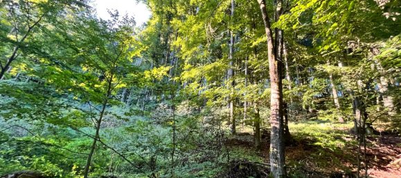 Terreno em Neustadt an der Waldnaab, Germany N.º 187018 3