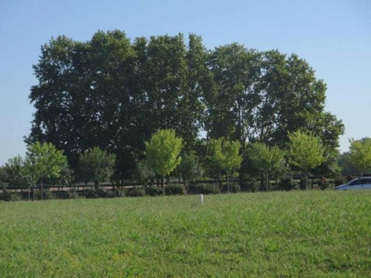  Land in Pilar, Argentina No. 121854