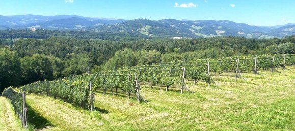 7 Schlafzimmer Schlösser in Bad Schwanberg, Austria, Nr. 234344 7