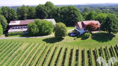 7 Schlafzimmer Schlösser in Bad Schwanberg, Austria, Nr. 234344
