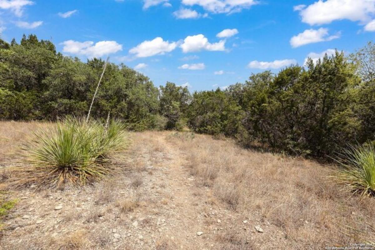 Земельный участок в Сан-Антонио, США № 485383