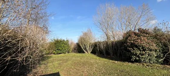 3 rooms House in Himberg, Austria No. 45261 4