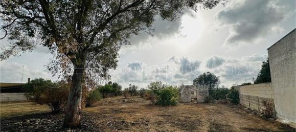 Terreno em Nardò, Italy N.º 352248 15