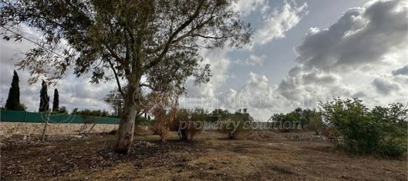 Terreno em Nardò, Italy N.º 352248 11