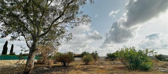 Terreno em Nardò, Italy N.º 352248 9