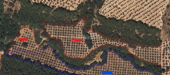  قطعة أرض في Albolote, Spain 26000متر مربع رقم 108065 13