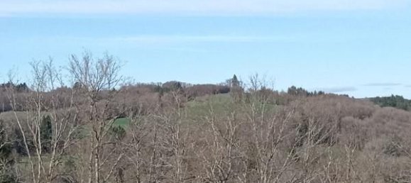 4 Schlafzimmer Haus in Bujaleuf, France, Nr. 108357 7