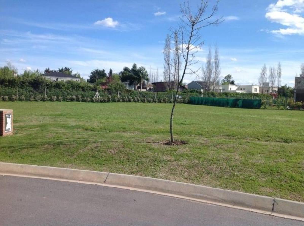 Terrain à Pilar, Argentina No. 37867