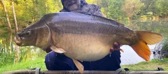 Grundstück in Le Croisty, France, Nr. 295148 18