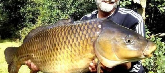 Grundstück in Le Croisty, France, Nr. 295148 11