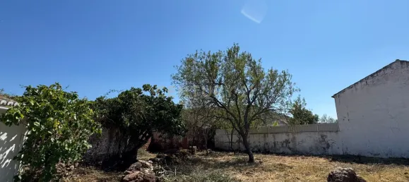 Villa de 4 dormitorios en Sao Bartolomeu de Messines, Portugal No. 102122 34