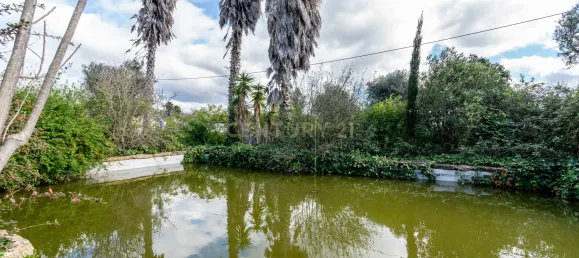 Villa de 4 dormitorios en Sao Bartolomeu de Messines, Portugal No. 102122 19