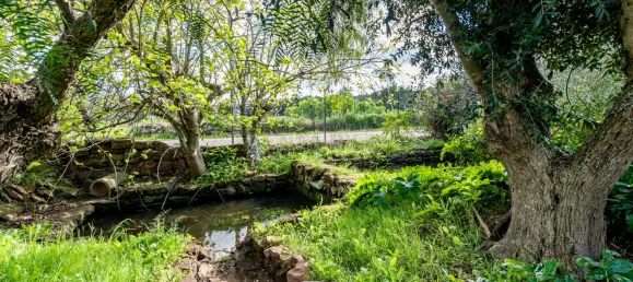 Villa de 4 dormitorios en Sao Bartolomeu de Messines, Portugal No. 102122 20