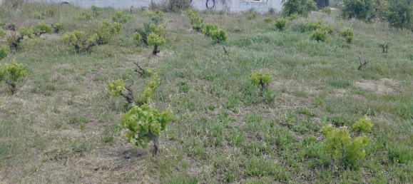 Grundstück in Eixample, Spain 322m², Nr. 55889 19