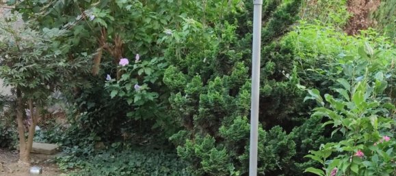 Gebäude in Gera, Germany 269m², Nr. 39553 18