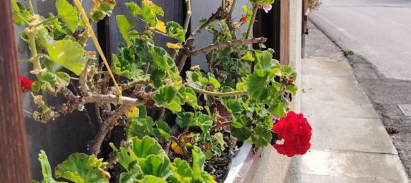 5 Schlafzimmer Haus in Limana, Italy, Nr. 337347 3