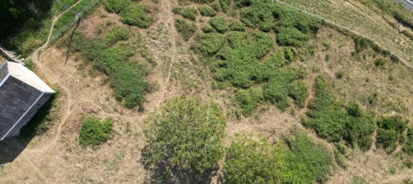  Land in Varennes, France No. 78206 5