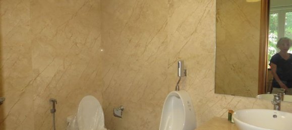 Вилла с 4 спальнями в Лонгбьен, Вьетнам № 3695 8