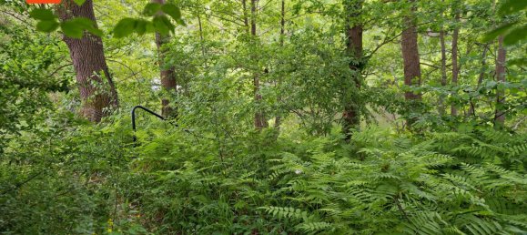 Casa de 1 dormitorio en Oder-Spree, Germany No. 288309 10