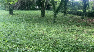 Grundstück in Ebreichsdorf, Austria, Nr. 162380