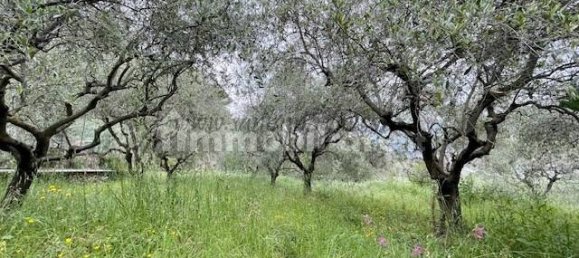 5 bedrooms Villa in Ventimiglia, Italy No. 313312 15