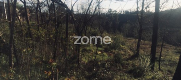 Grundstück in Arganil, Portugal, Nr. 65768 16