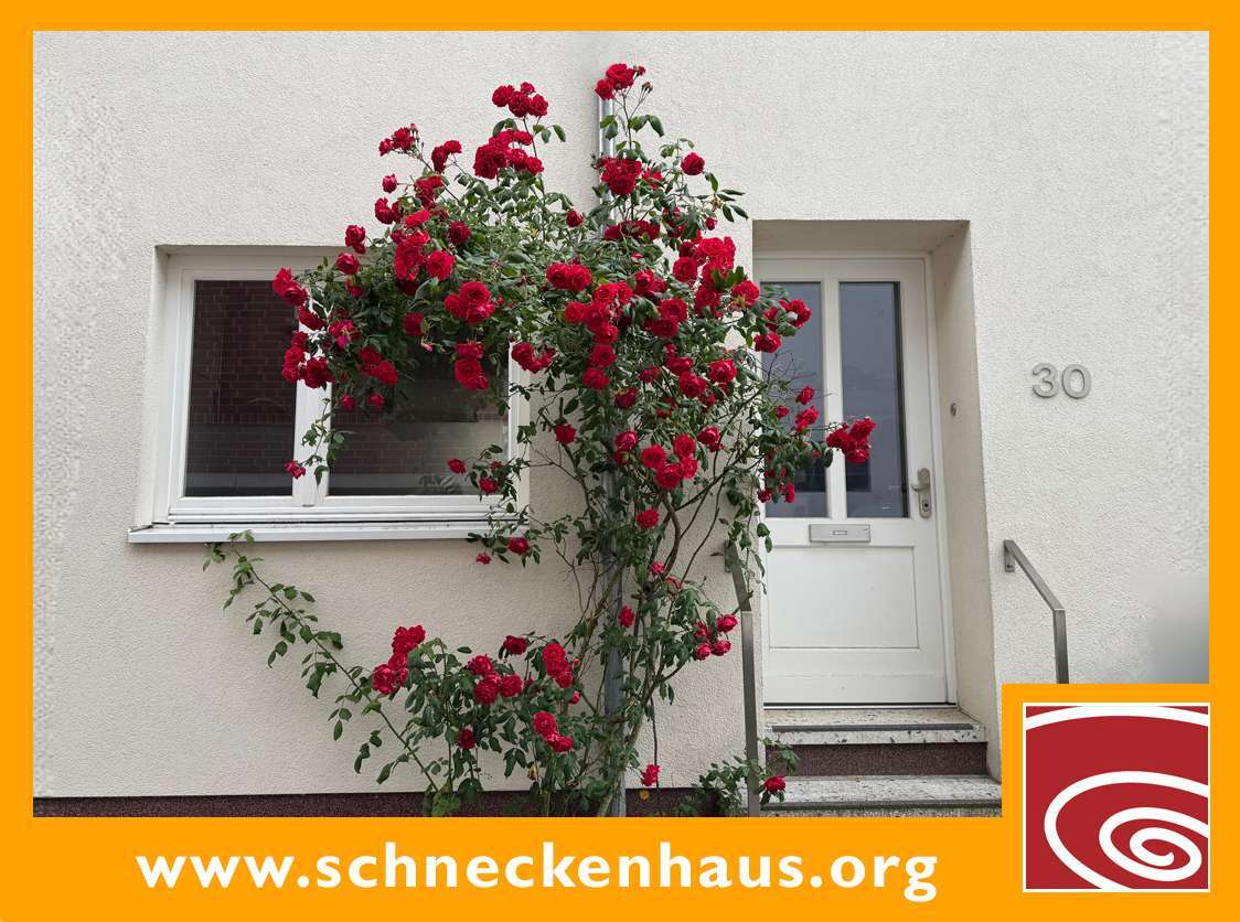 3-Zimmer Stadthaus in Bremen, Germany, Nr. 246242