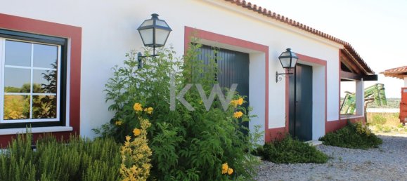 5 bedrooms Castles in Serpa, Portugal No. 137181 6