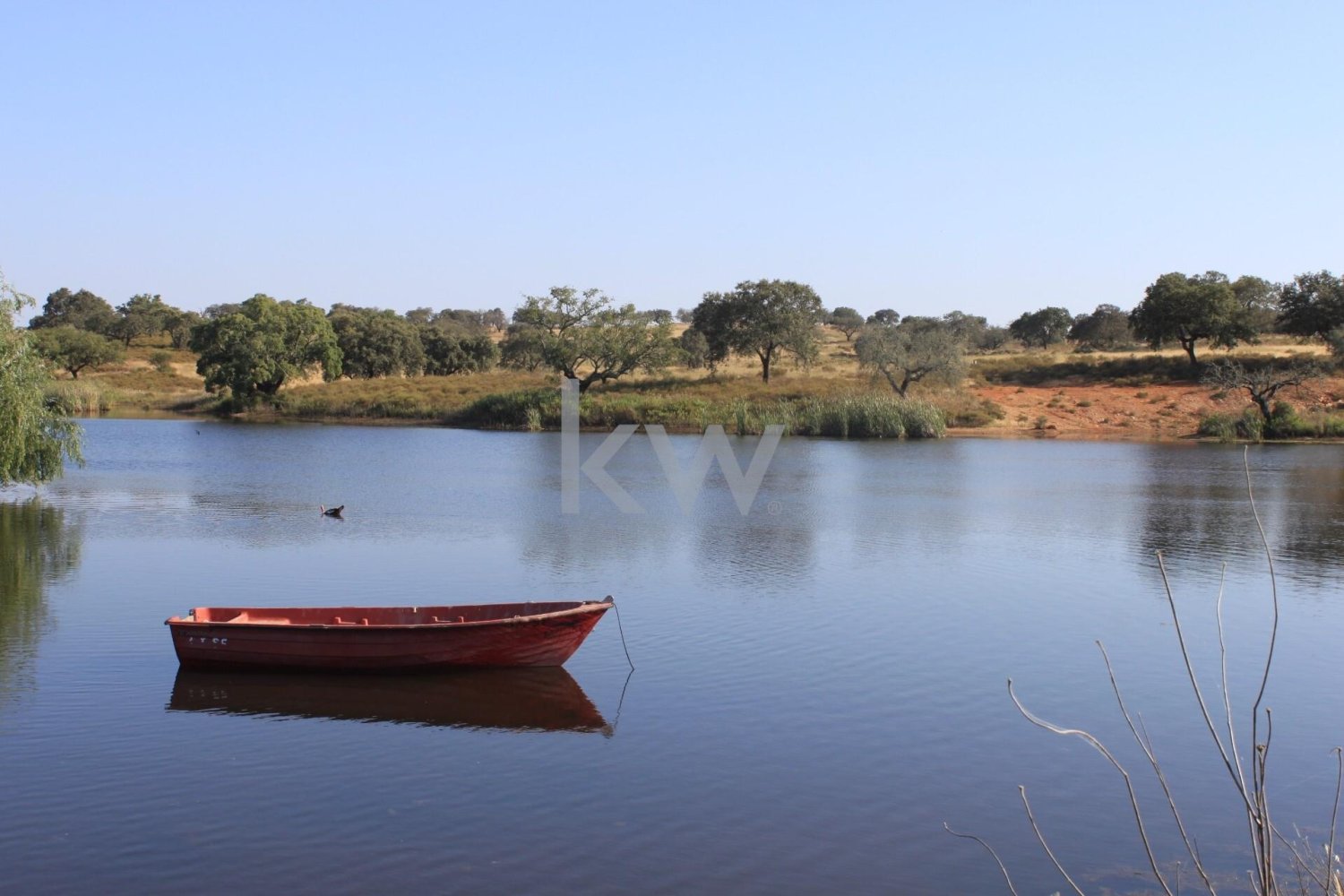 5 bedrooms Castles in Serpa, Portugal No. 137181