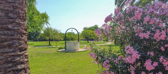 8 chambres Maison à Binissalem, Spain No. 171422 14