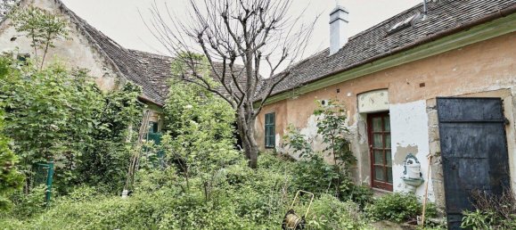 Земельный участок 1286м² в Вена, Австрия № 53080 9