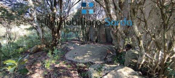 Casa de 11 divisões em Tempio Pausania, Italy N.º 300201 15