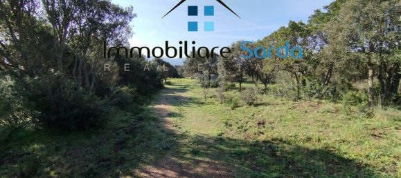 Casa de 11 divisões em Tempio Pausania, Italy N.º 300201 10