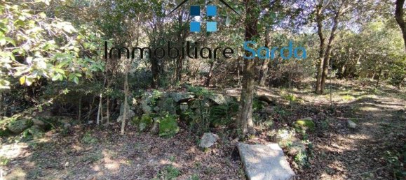 Casa de 11 divisões em Tempio Pausania, Italy N.º 300201 11