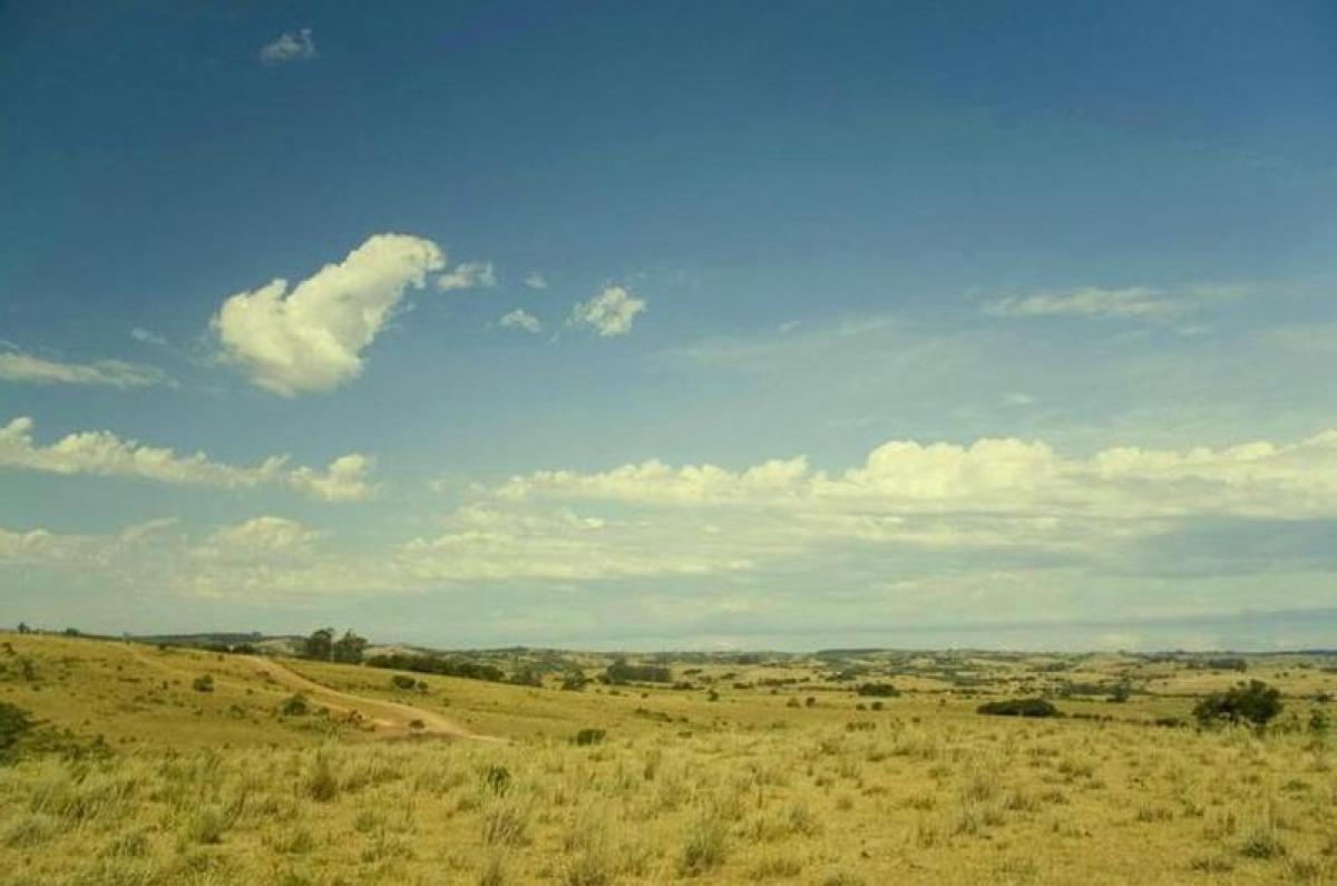  Farm in Maldonado, Uruguay No. 14872