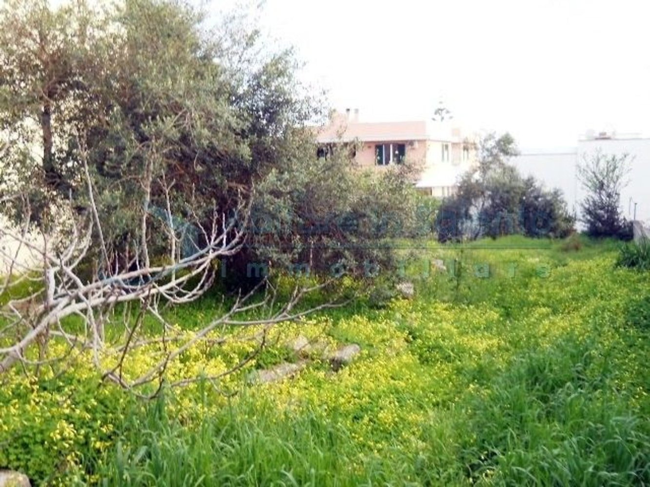 Земельный участок 770м² в Castrignano del Capo, Италия № 76341