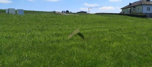  Land in Frankenmarkt, Austria No. 146887 5